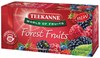 Obrázek Čaj Teekanne ovocný - Forest Fruits