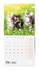 Obrázek Kalendář nástěnný poznámkový - Kočky / BNL1