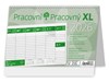 Obrázek Kalendář stolní pracovní XL / S68
