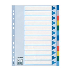 Obrázek Rozdružovač A4 plastový Esselte - barevný / 12 listů