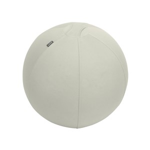 Obrázek Míč gymnastický na sezení Leitz Ergo s těžítkem - sv. šedý / 55 cm