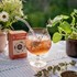 Obrázek Čaj LEROS ledový - Eukalyptus Cold brew
