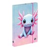 Obrázek Box na sešity A5 - Axolotl