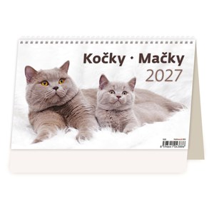 Obrázek Kalendář stolní - Kočky / S34