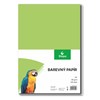 Obrázek Papír barevný - A4 / 80 g / 100 listů / sv.zelená